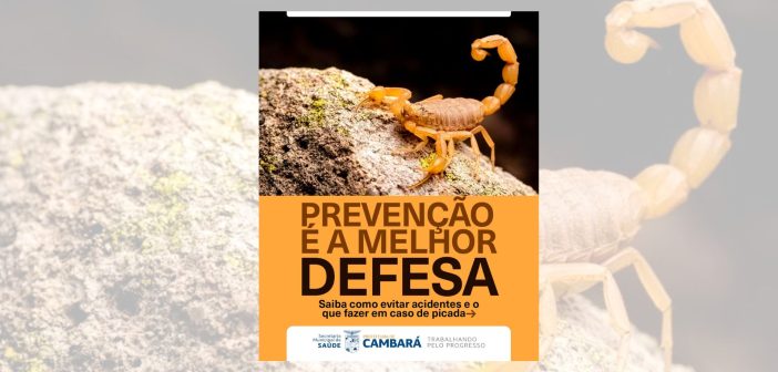 Contra escorpião – Infos obs